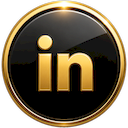 LinkedIn icon for the Net del Sol footer social row.