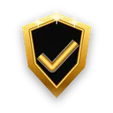 Net Del Sol Why Choose Us icon for professional website design and business-focused digital solutions